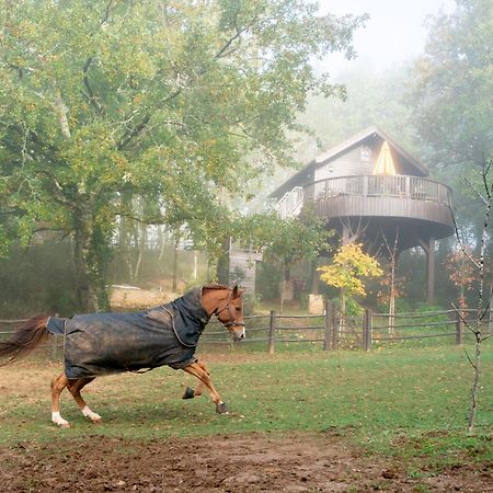 Cabane De La Mesange Auriac-du-Périgord Εξωτερικό φωτογραφία