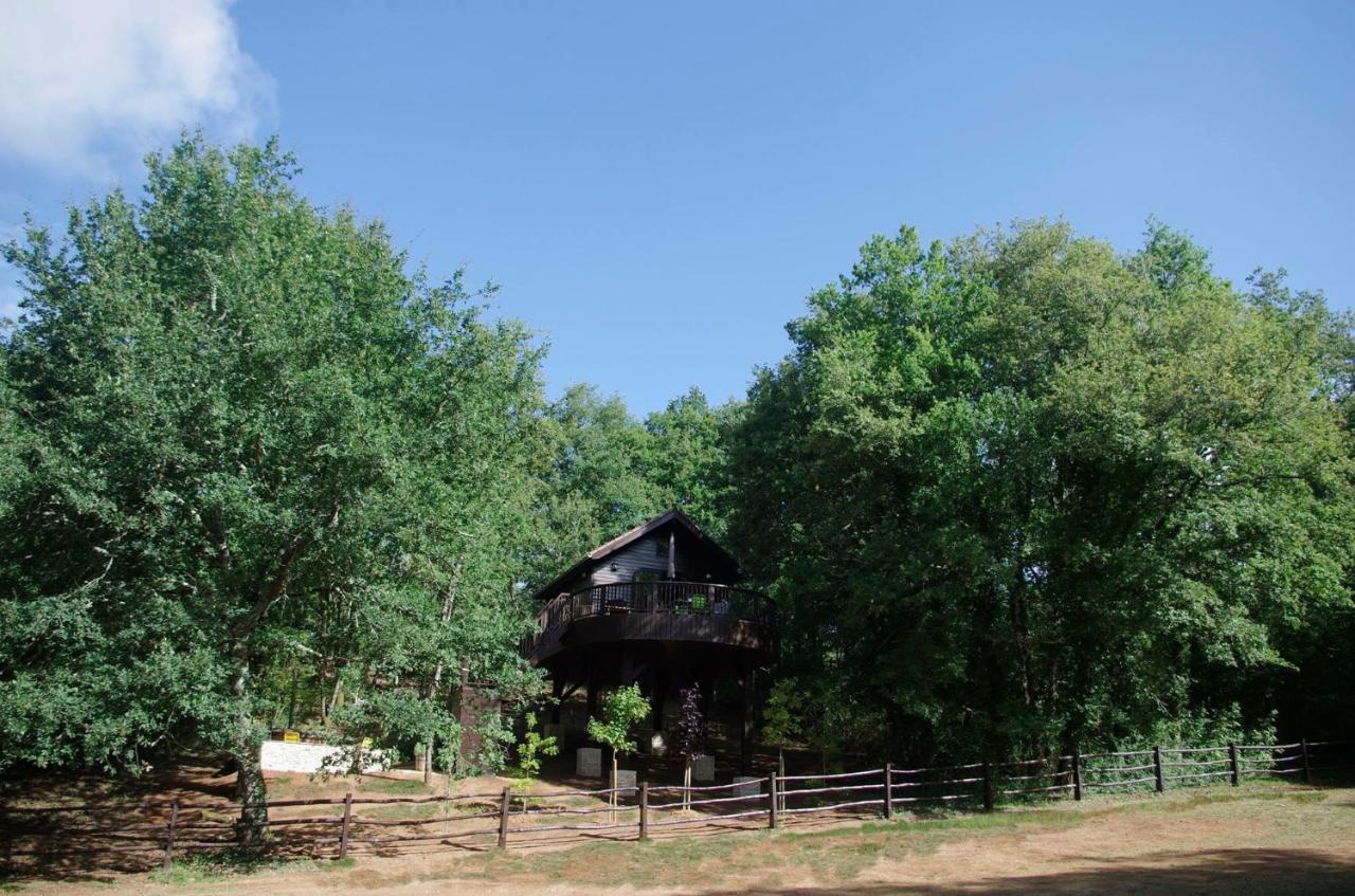 Cabane De La Mesange Auriac-du-Périgord Εξωτερικό φωτογραφία